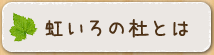 虹いろの杜netとは？